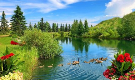 Красота окружающей природы